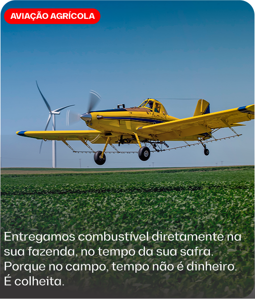 sagres_logo_palmas_aviação_transporte_facilidade_tecnologia_confiança_mercadoria_aviacaoagricola