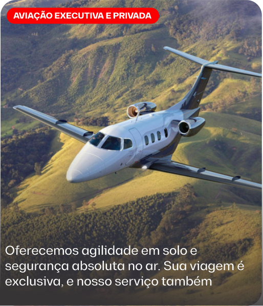 sagres_logo_palmas_aviação_transporte_facilidade_tecnologia_confiança_mercadoria_aviacaoexecutivaeprivada