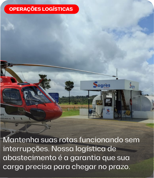 sagres_logo_palmas_aviação_transporte_facilidade_tecnologia_confiança_mercadoria_operacaologistica